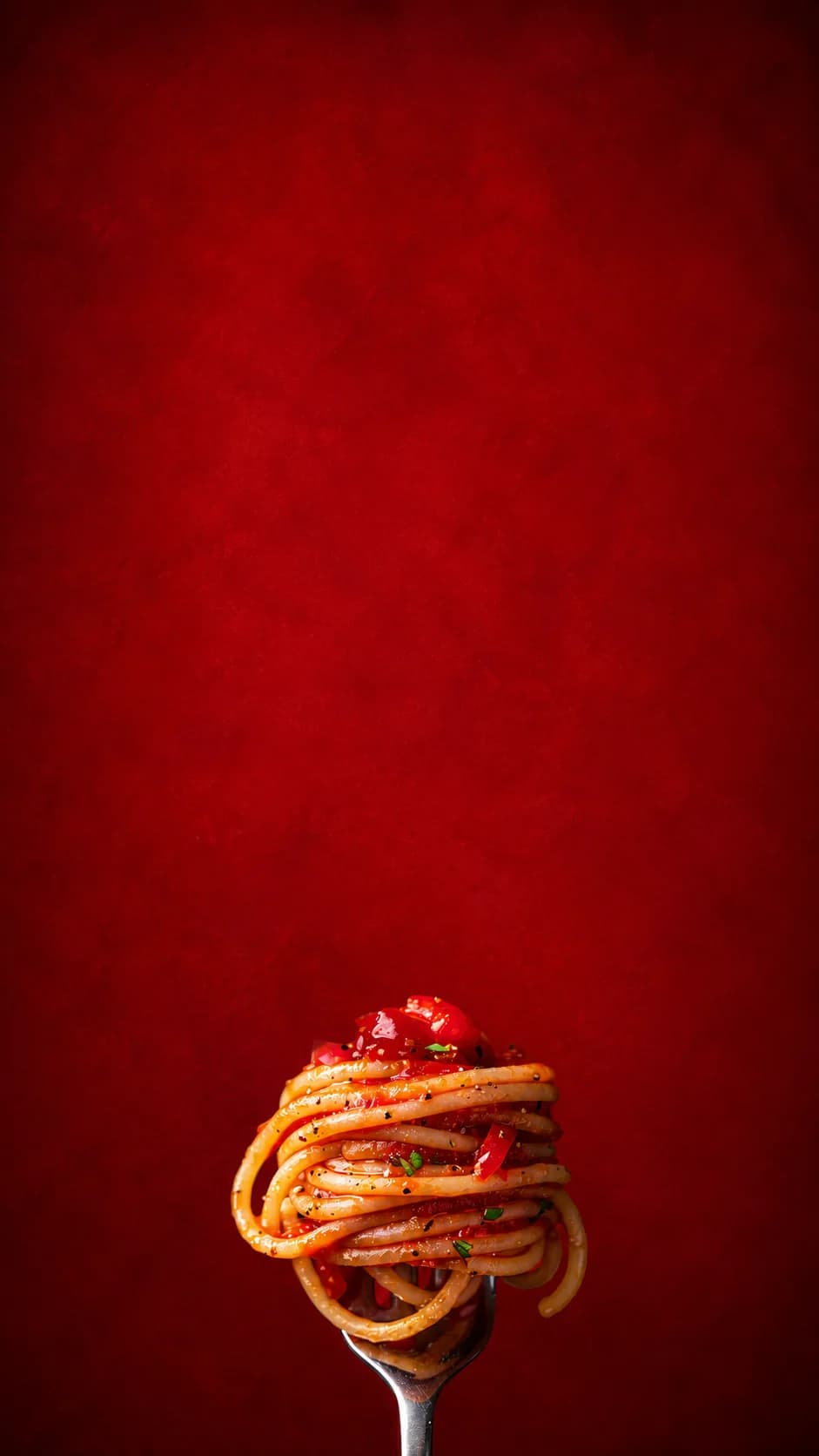 A fork twirled with spaghetti